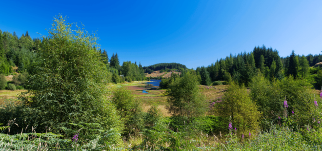 Loch Lomond & Trossachs National Park Drive Tour With an App - Important Information for Participants
