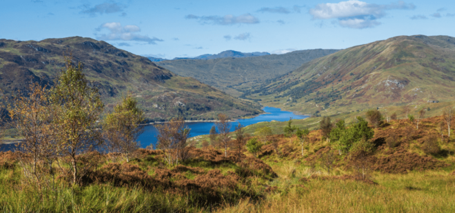 Loch Lomond & Trossachs National Park Drive Tour With an App - Customer Feedback and Suggestions