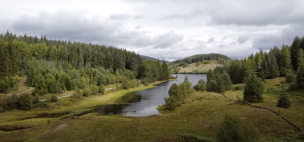 Loch Lomond & Trossachs National Park Drive Tour With an App - Balloch Castle & Country Park