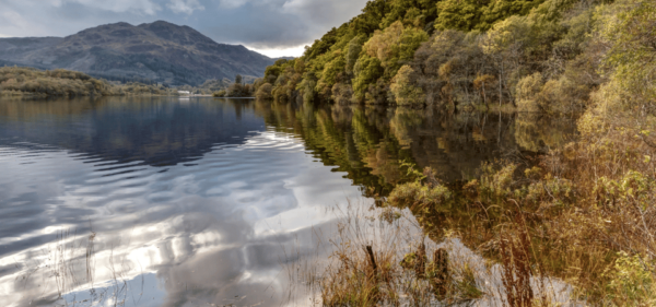 Loch Lomond & Trossachs National Park Drive Tour With an App - Trails and Landmarks