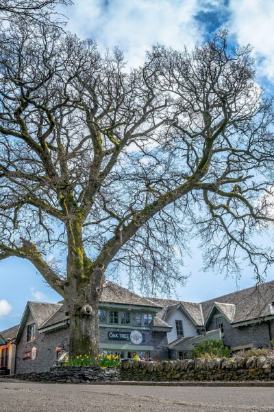 Loch Lomond: Whisky Tasting - Group Accommodations