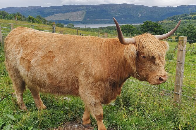 Loch Ness and The Highland Adventure - Local Cuisine and Traditions in the Highlands