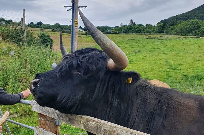 Loch Ness and The Highland Adventure - The Sum Up