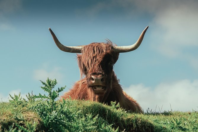 Loch Ness, Glen Coe & the Highlands Day Tour From Edinburgh - Tour Accommodations