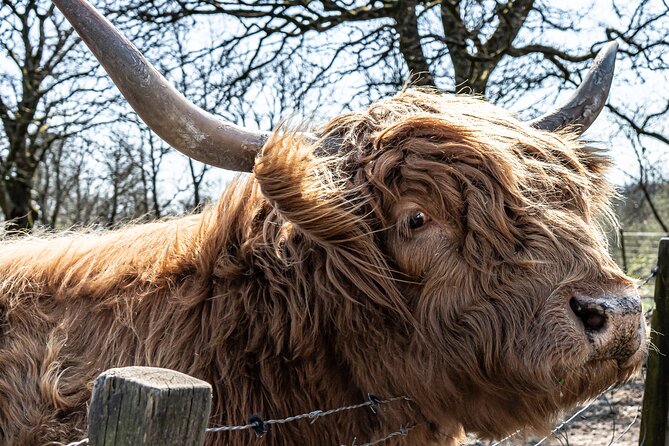 Loch Ness Private Day Tour up to 8 Passengers - Optional Add-Ons
