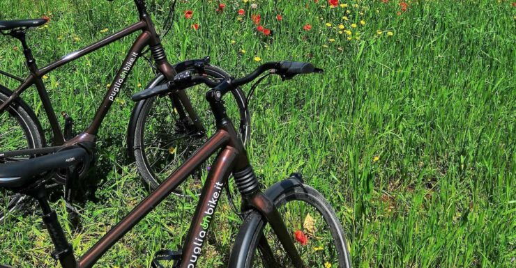 Locorotondo: Alberobello Self-Guided E-Bike Tour & Focaccia - Good To Know