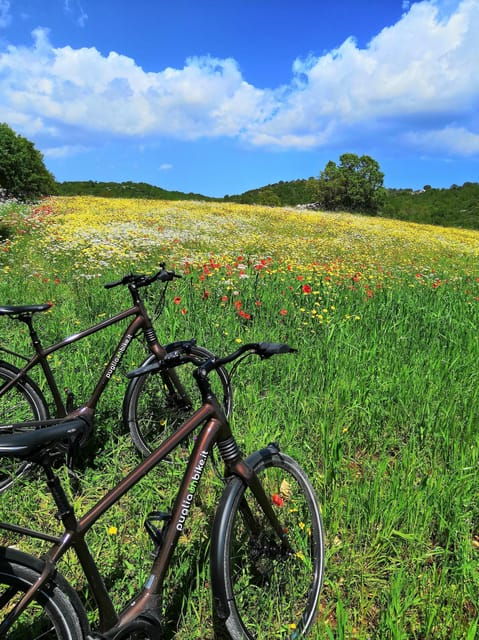 Locorotondo: Alberobello Self-Guided E-Bike Tour & Focaccia - Detailed Itinerary
