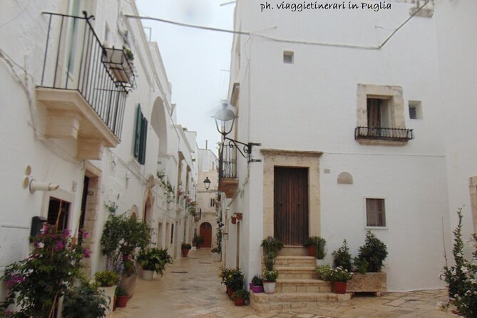 Locorotondo and Alberobello Half Day Tour With a Cheese Tasting - Inclusions and Highlights