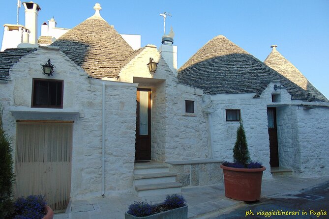 Locorotondo and Alberobello Half Day Tour With a Cheese Tasting - Cheese Tasting Experience