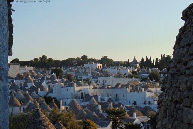 Locorotondo and Alberobello Half Day Tour With a Cheese Tasting - Cancellation Policy