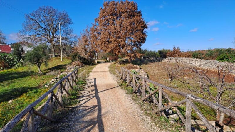 Locorotondo and Cisternino: E-Bike Tour With Ice Cream - Artisanal Ice Cream Tasting