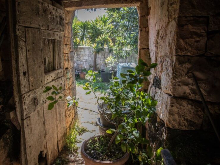 Locorotondo: Guided E-Bike Tour With Olive Oil Tasting - Activity Details
