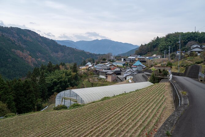 Lodging Plans With Gibier Cuisine / Tokushima, Shikoku - Cancellation Policy Details