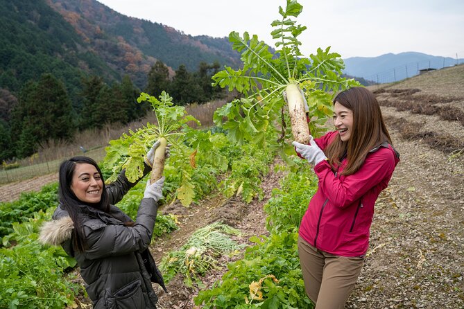 Lodging Plans With Gibier Cuisine / Tokushima, Shikoku - Booking and Pricing Information