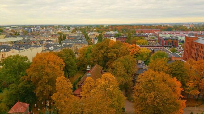 Lodz: Citybreak #1 Digital Guided Walking Tour - Customer Feedback