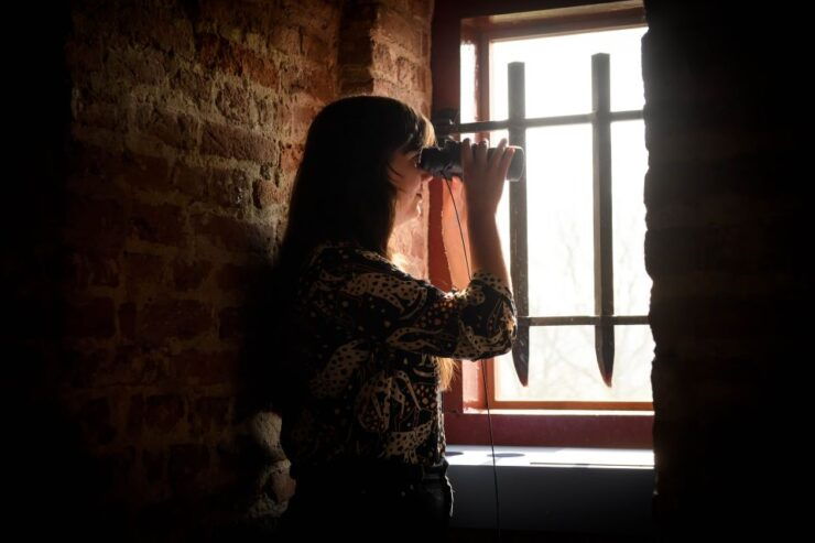 Loevestein Castle Entry Ticket - Experience Highlights