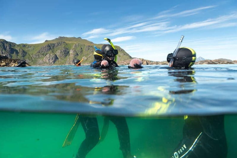 Lofoten: Family Snorkeling Tour - Good To Know