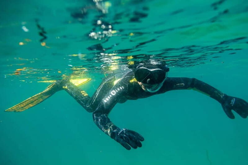 Lofoten: Family Snorkeling Tour - An In-Depth Look at the Lofoten Family Snorkeling Tour