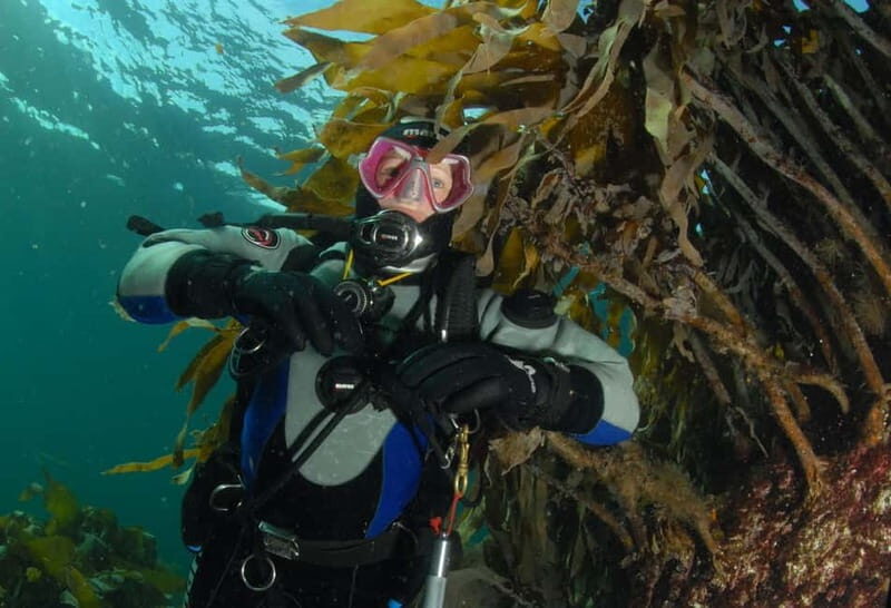 Lofoten: First Time Scuba Diving Experience - A Closer Look at the Experience