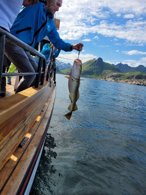 Lofoten: Fishing Adventure - Experience Highlights
