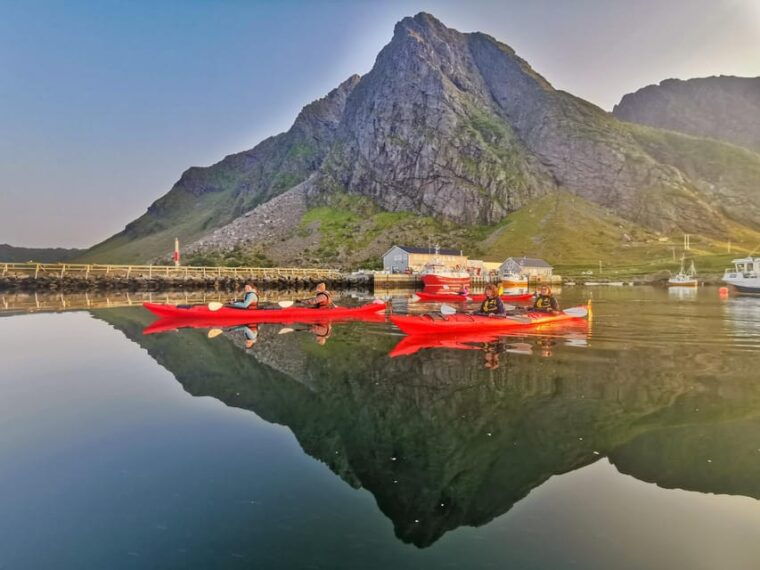 Lofoten: Full Day Kayak Tour - Wildlife and Birdlife