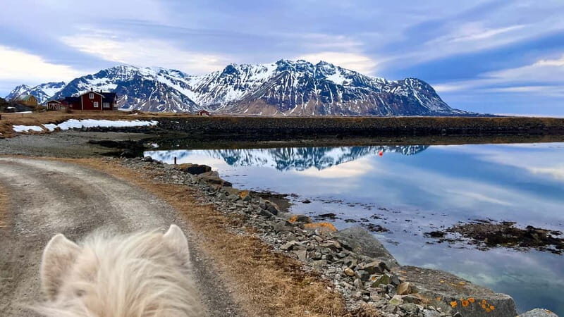 Lofoten: Guided Horse Riding Tour Over Hov and Hovsund - Good To Know