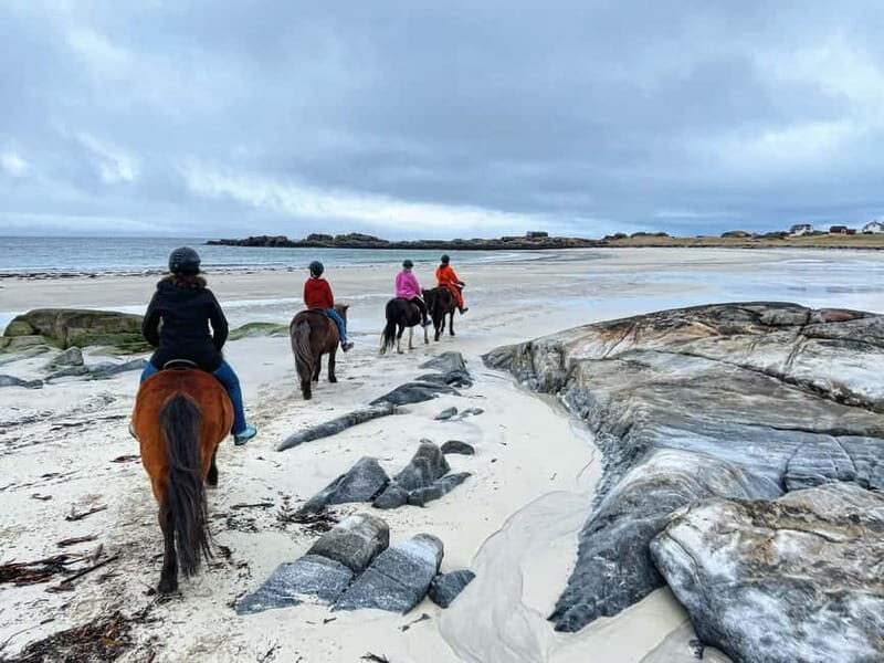 Lofoten: Guided Horse Riding Tour Over Hov and Hovsund - The Itinerary in Detail