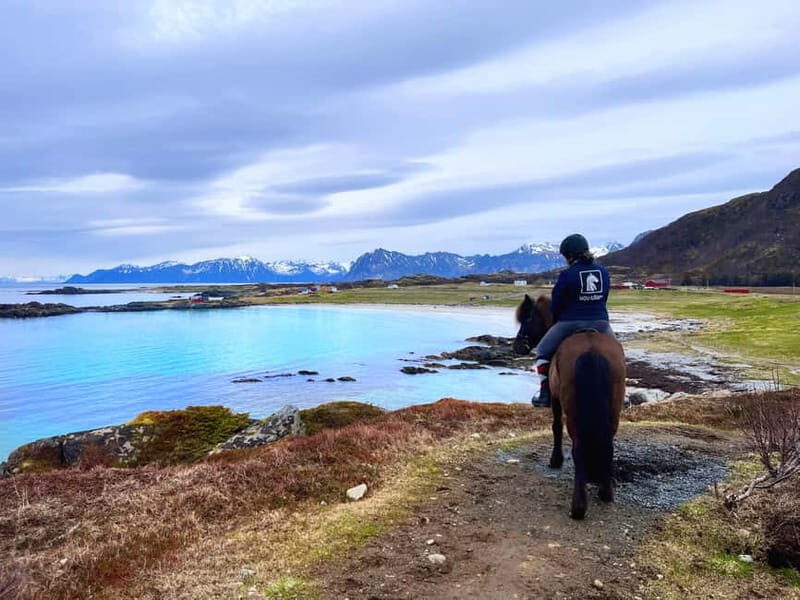 Lofoten: Guided Horse Riding Tour Over Hov and Hovsund - Practical Details and Value