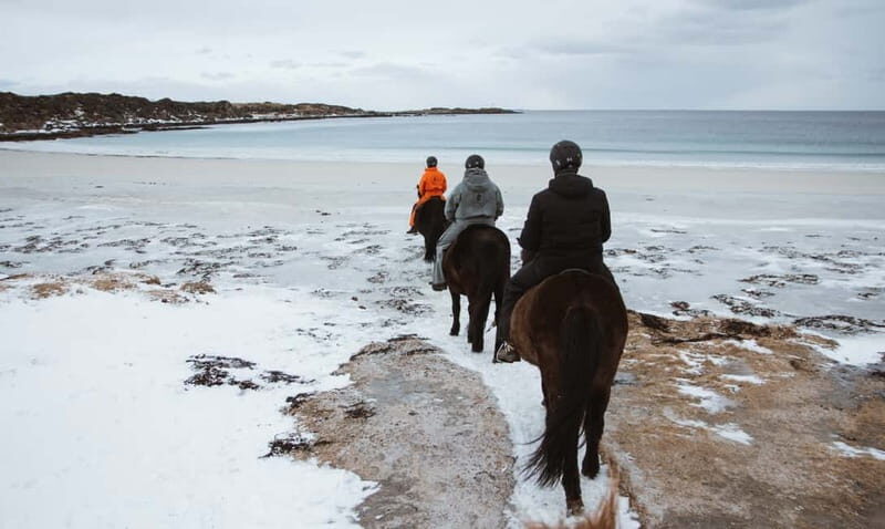 Lofoten: Guided Horse Riding Tour Over Hov and Hovsund - Who Would Enjoy This Tour?