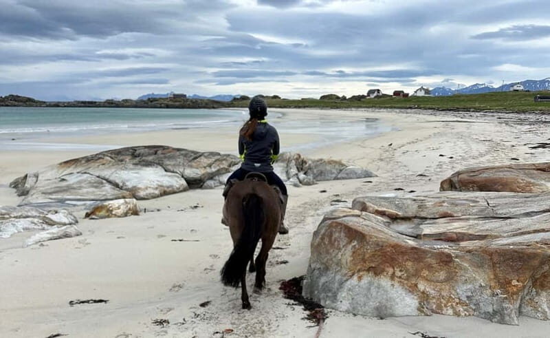 Lofoten: Guided Horse Riding Tour Over Hov and Hovsund - Final Thoughts