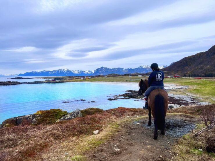 Lofoten: Guided Horse Riding Tour Over Hov and Hovsund - Meet Icelandic Horses and Viking Remnants