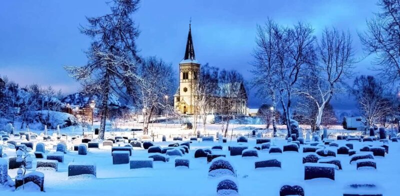 Lofoten: Half-Day Guided Tour with local guide Photo Stops - The Photography & Light