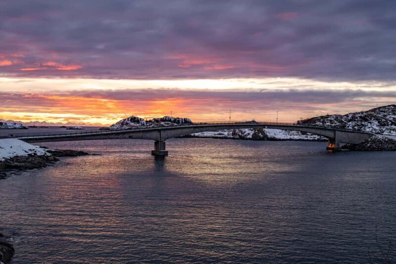 Lofoten: Half-Day Guided Tour with local guide Photo Stops - The Sum Up