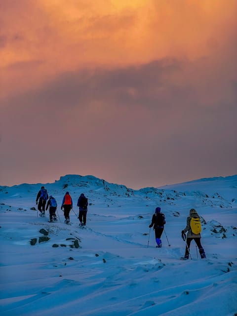 Lofoten: Half Day Snowshoe Tour - Good To Know
