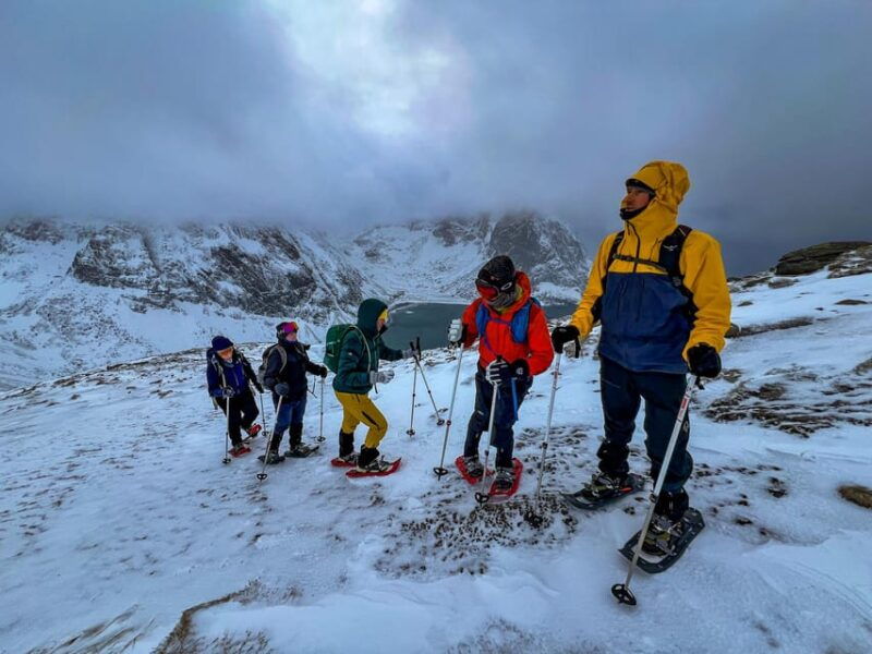 Lofoten: Half Day Snowshoe Tour - The Value of the Experience