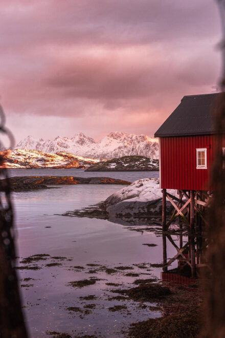 Lofoten in a Nutshell - 5 Hour Photography Sightseeing Tour - Kabelvåg