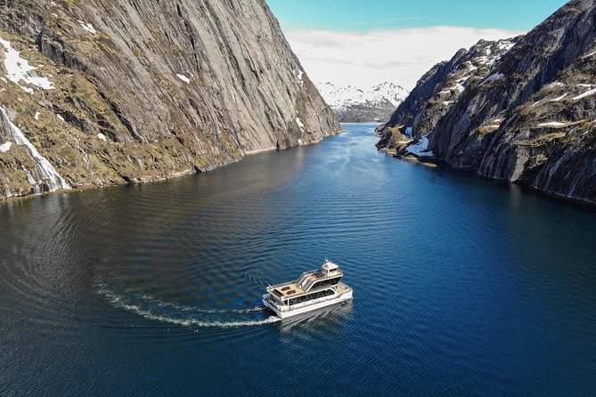 Lofoten Island: Silent Trollfjord Cruise From Svolvær - Wildlife Encounters