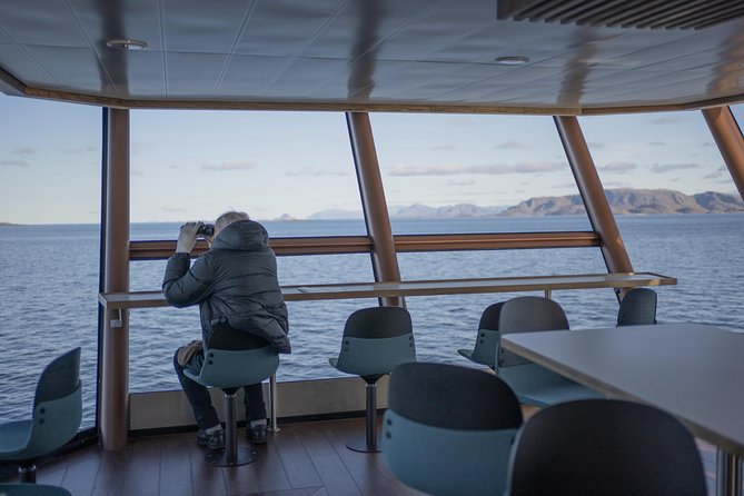 Lofoten Island: Silent Trollfjord Cruise From Svolvær - Getting There and Accommodation