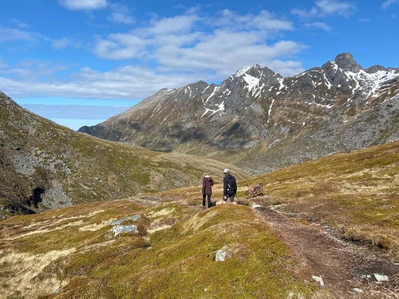 Lofoten Islands: Guided Hiking Into the Wilderness-Easy Tour - Good To Know