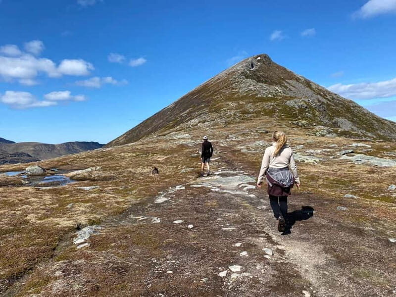 Lofoten Islands: Guided Hiking Into the Wilderness-Easy Tour - Discovering the Lofoten Wilderness on an Easy Hike