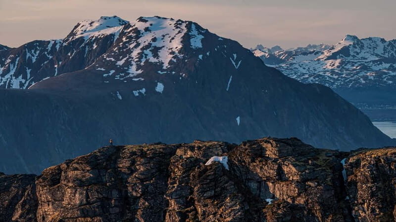 Lofoten Islands: Guided Hiking Into the Wilderness-Easy Tour - What to Bring and Wear