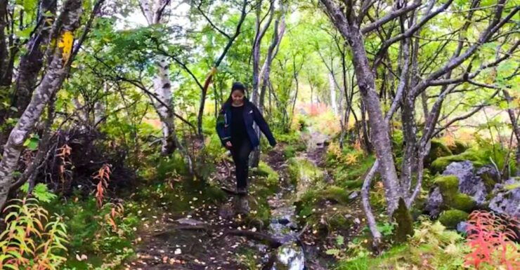 Lofoten Islands: Luxury Fishing, Hiking & Beach Tour - Experience Highlights