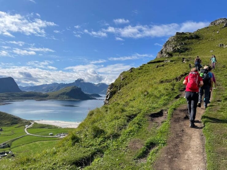 Lofoten: Private Tour for Cruise Visitors (From Leknes) - Good To Know