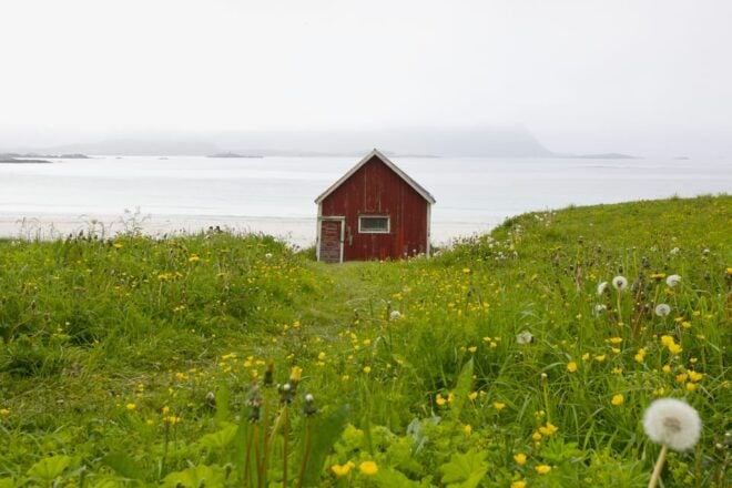Lofoten: Private Tour for Cruise Visitors (From Leknes) - Wildlife and Scenic Opportunities