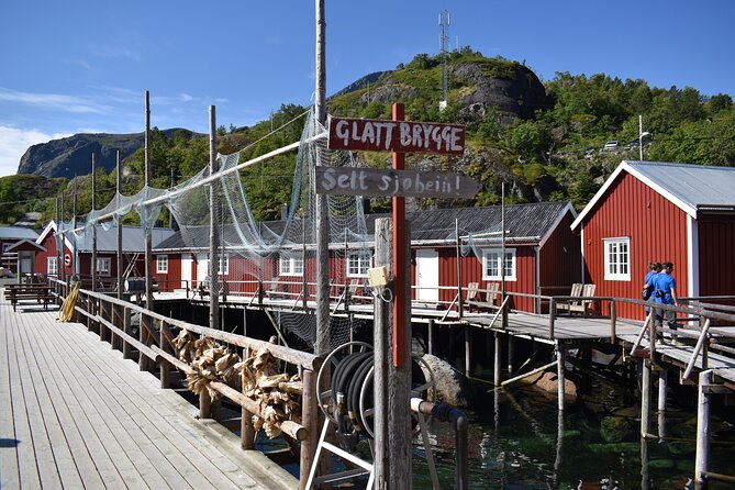 Lofoten PRIVATE Tour From Leknes - Large Group (5-8 Pax) - Booking and Availability