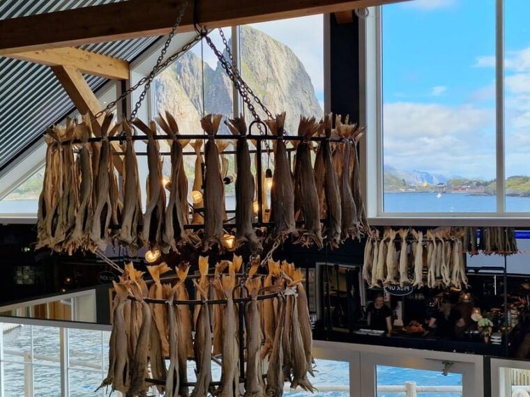 Lofoten: Reine, Hamnøy, and Skariskøya Photo Tour - What’s Included and What’s Not