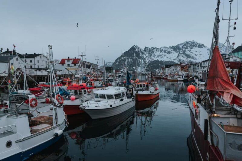 Lofoten Scenic Sightseeing Tour: Half day tour - What to Expect and Practical Details
