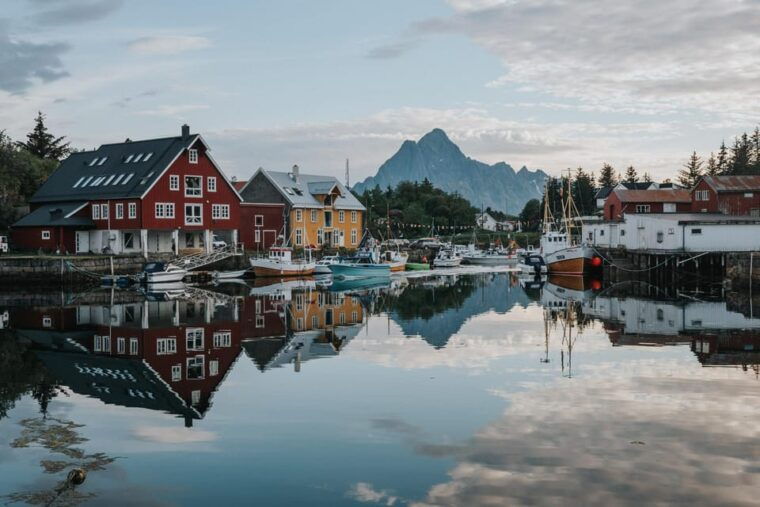 Lofoten Scenic Sightseeing Tour: Half day tour - Authentic Experiences and Review Highlights
