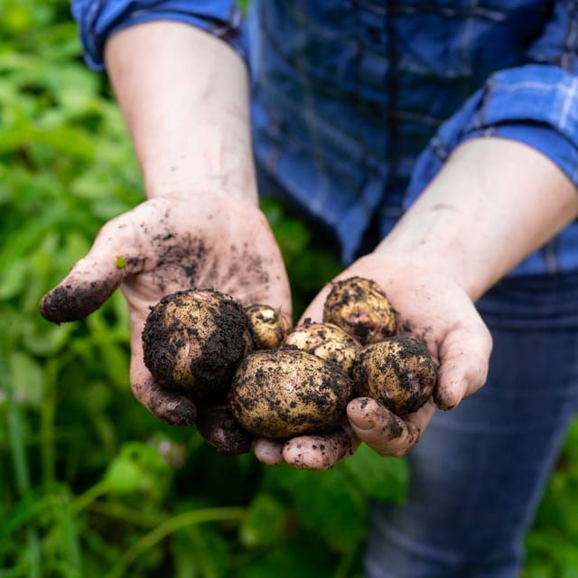 Lofoten (Stamsund and Leknes): Aimees Farm Experience - Feedback and Customer Reviews