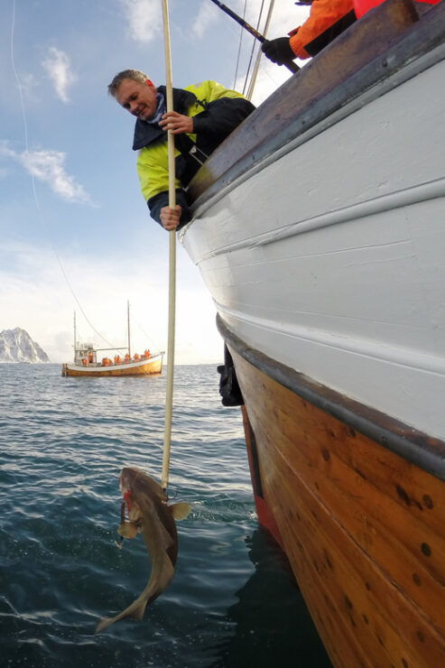 Lofoten: Traditional Fishing Trip - Fishing Opportunities